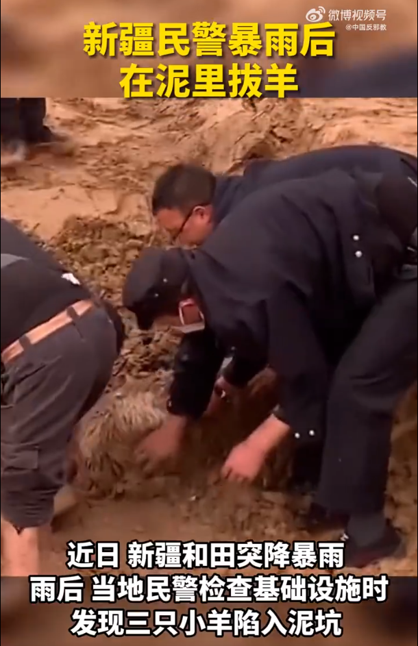 新疆民警暴雨后在泥里拔羊 網(wǎng)友“光看標(biāo)題就覺得很可愛了”