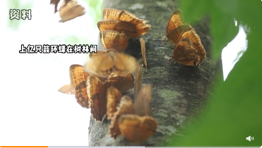 微信截圖_20220522213802.png