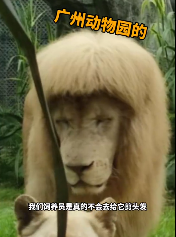 微信截圖_20220529200558.png