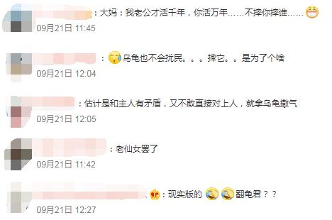 QQ截圖20220922103757.jpg