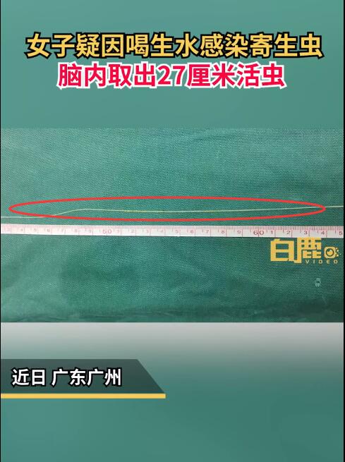 QQ截圖20220923092942.jpg