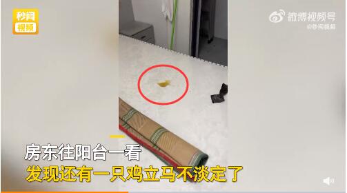 QQ截圖20221001112606.jpg