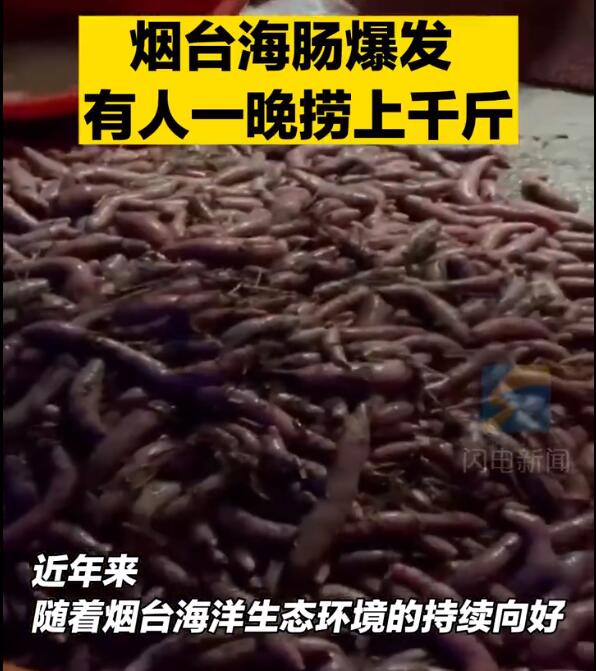 QQ截圖20221009101940.jpg