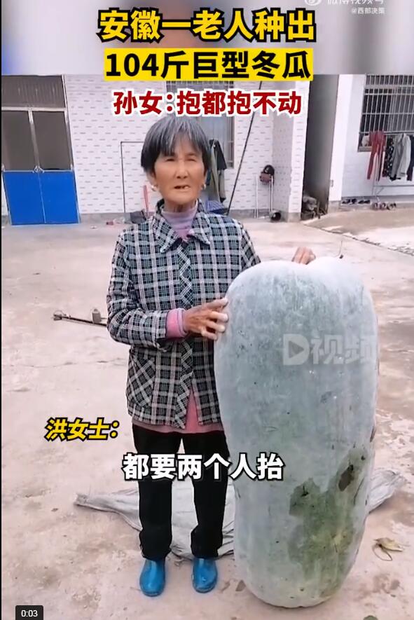 QQ截圖20221010164550.jpg
