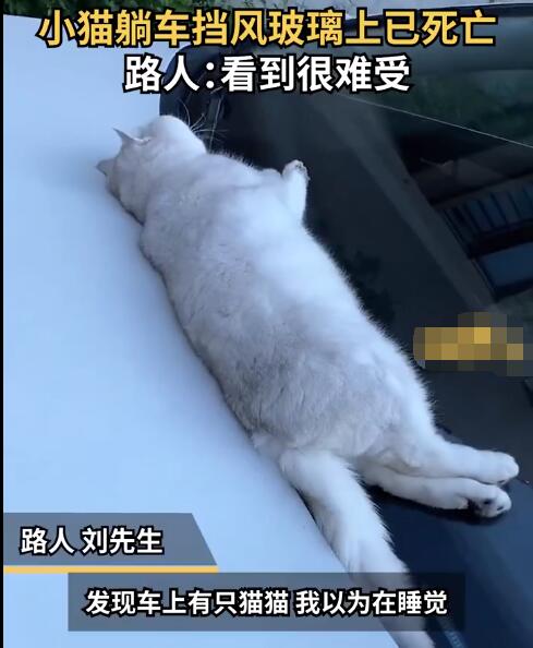 QQ截圖20221208115953.jpg