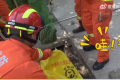 眼鏡王蛇竄入村莊被逮住送動物園 消防：“因其有劇毒，不敢隨意放生”