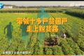 90后小伙破產(chǎn)欠50萬(wàn)賣(mài)花生掙百萬(wàn) 不輕言放棄成就自己的春天