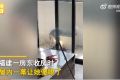 租客退房留下2貓1狗1雞 房東吐槽搞衛(wèi)生都花了一千塊
